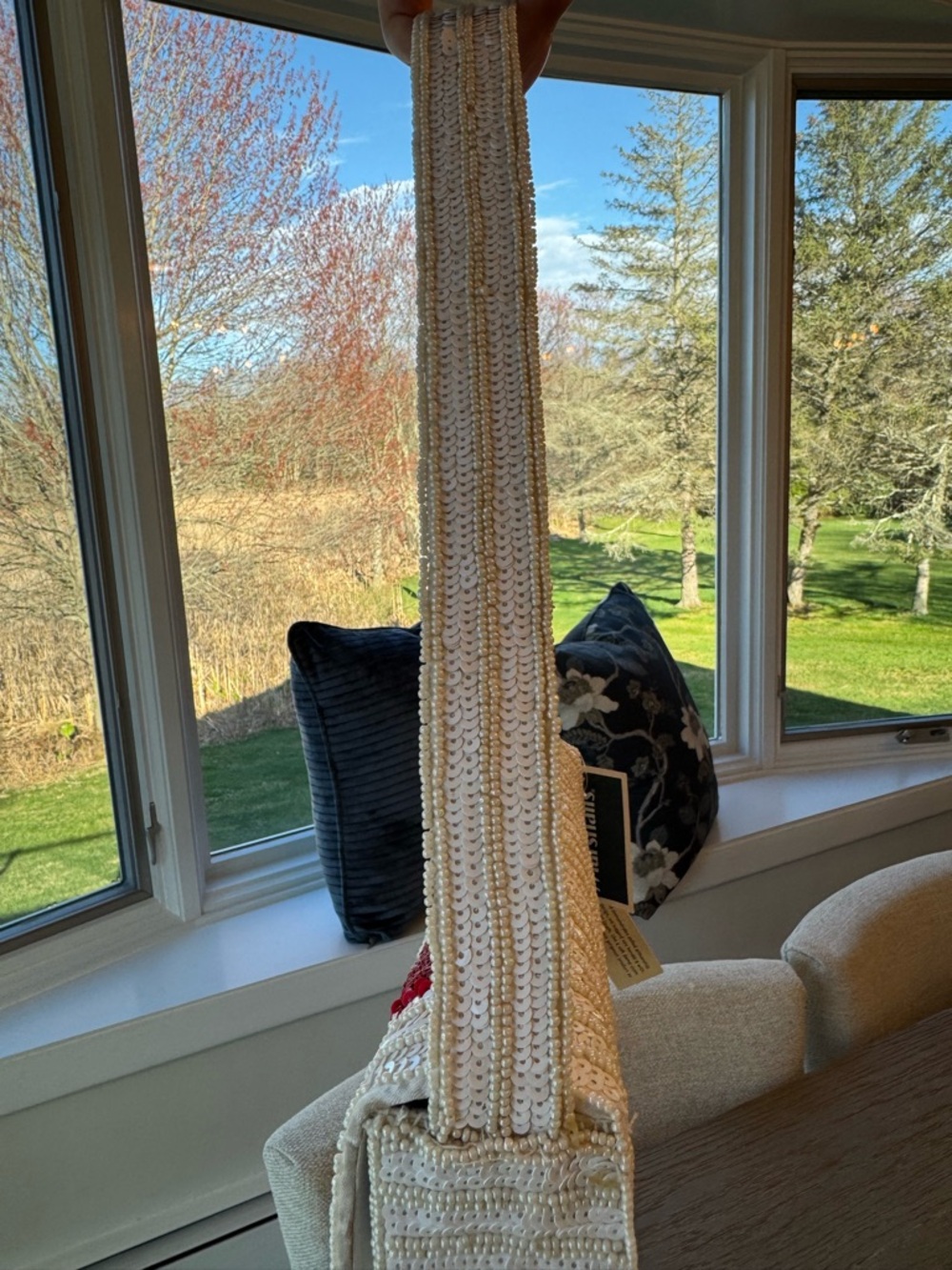 Tik Tok Viral Beaded Lobster Bag - Picture 10 of 11